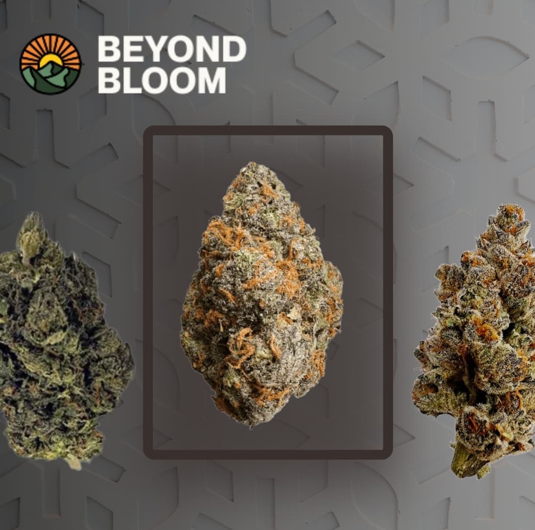 Beyond Bloom Platform