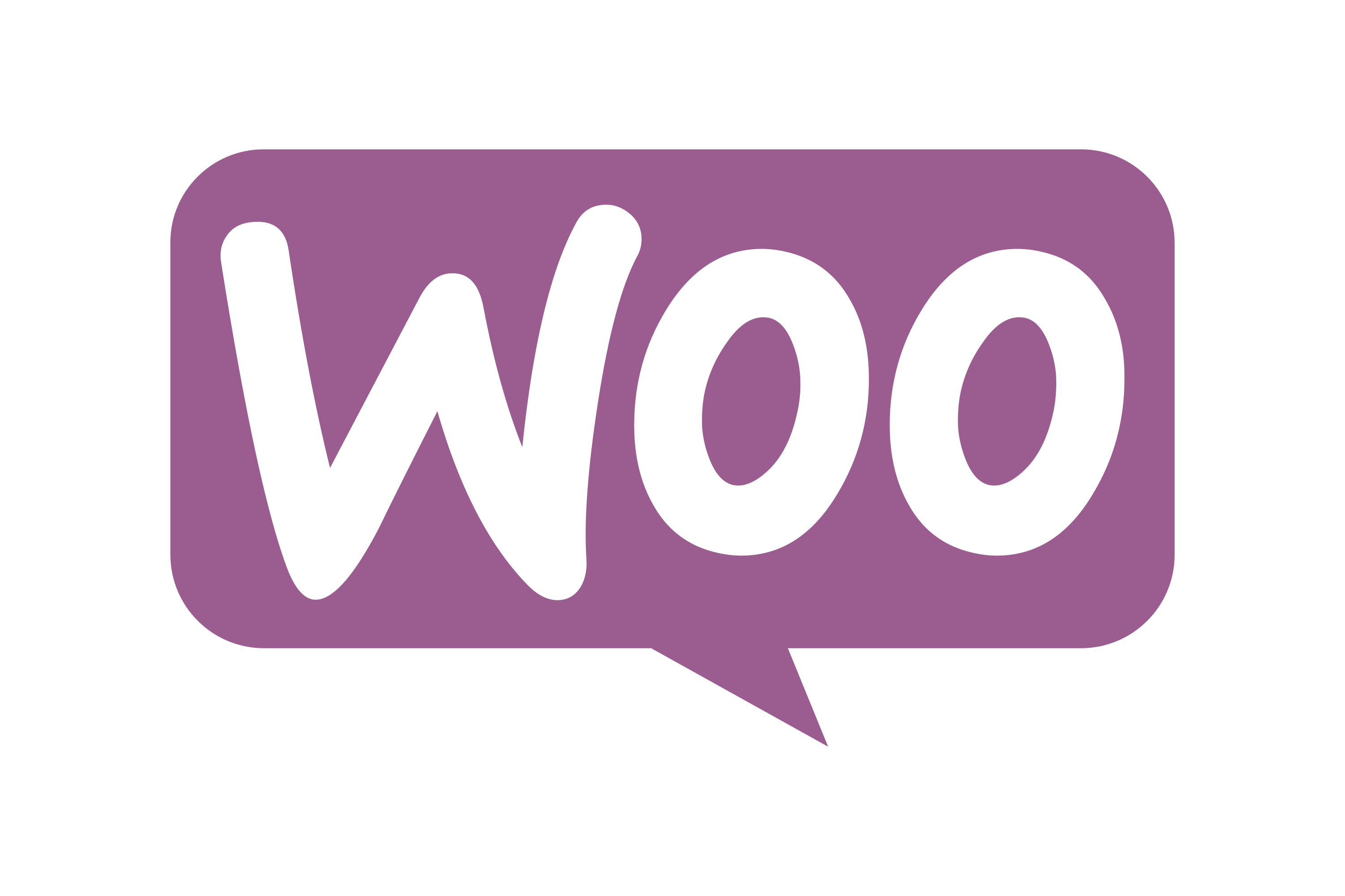 WooCommerce development